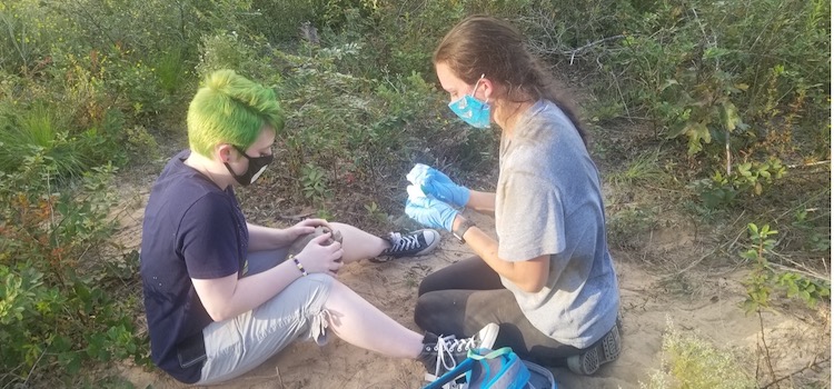 Photo of Dawn Canterbury (right) and Darby Smith (left) collecting data from a Gopher Tortoise in the field. Dawn and Darby are preparing to take a blood sample from the tortoise that will be used for genetic data analysis.