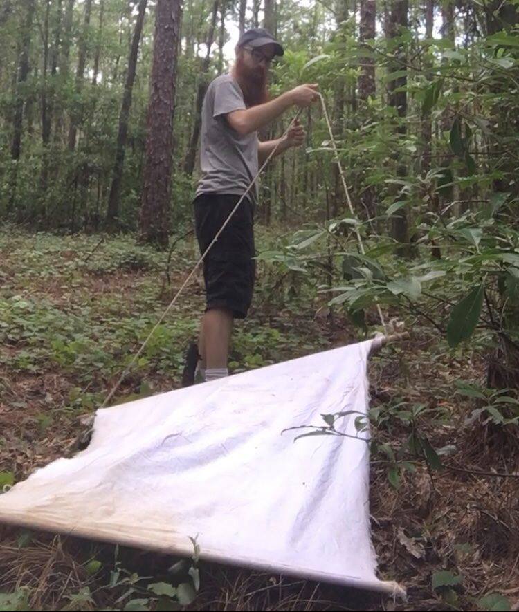 Skyler Kerr collecting ticks in the field