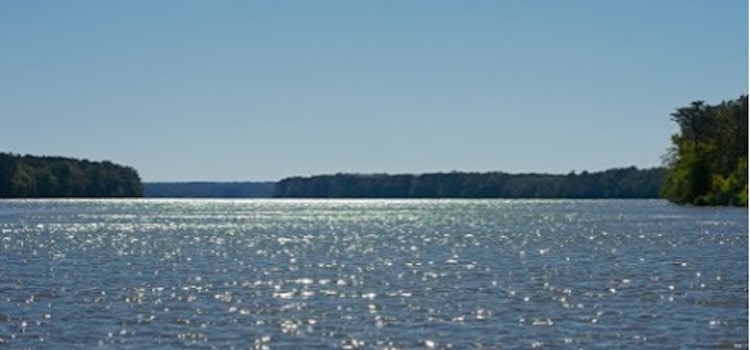 View of the Tensaw River from the Delta Explorer. Photo by Sherry Stimpson Frost.
