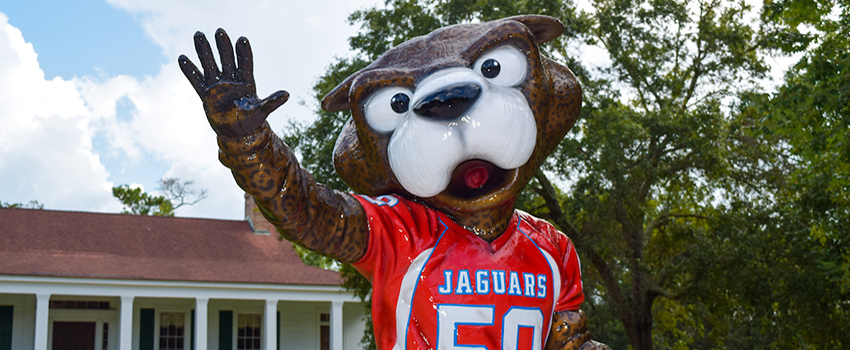 Southpaw statue on campus.