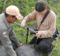 USA Biologists Contribute to Galapagos Tortoise Discovery

