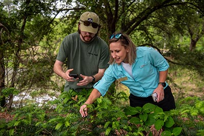 Student working with professpr while taking pictures of plants outside.