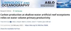 Carbon production at shallow-water artificial reef ecosystems relies on water column primary  productivity