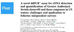 A novel ddPCRTM assay for eDNA detection and quantification of Greater Amberjack Seriola dumerili and three congeners in US waters:  challenges and application to fisheries independent surveys.