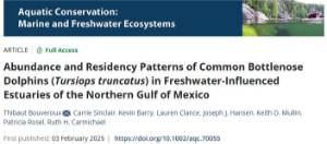 Abundance and Residency Patterns of Common Bottlenose Dolphins (Tursiops truncatus) in Freshwater-Influenced Estuaries of the Northern Gulf of Mexico