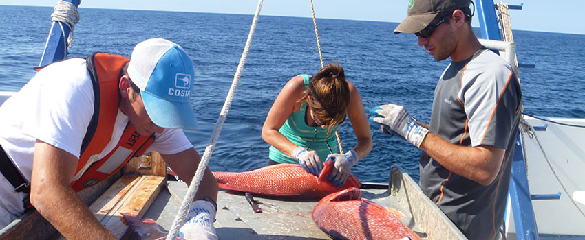 Students working on boat with fish.