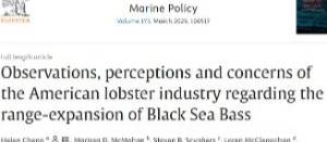 Observations, perceptions and concerns of the American lobster industry regarding the range-expansion of Black Sea Bass.