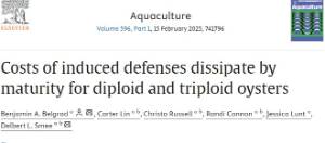 Costs of Induced Defenses Dissipate by Maturity for Diploid and Triploid Oysters