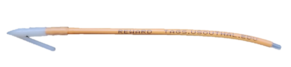 Reward Tags.Usouthal.edu on Tag