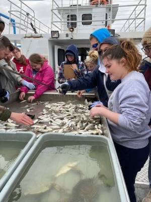 students sorting through fish samples on large boat