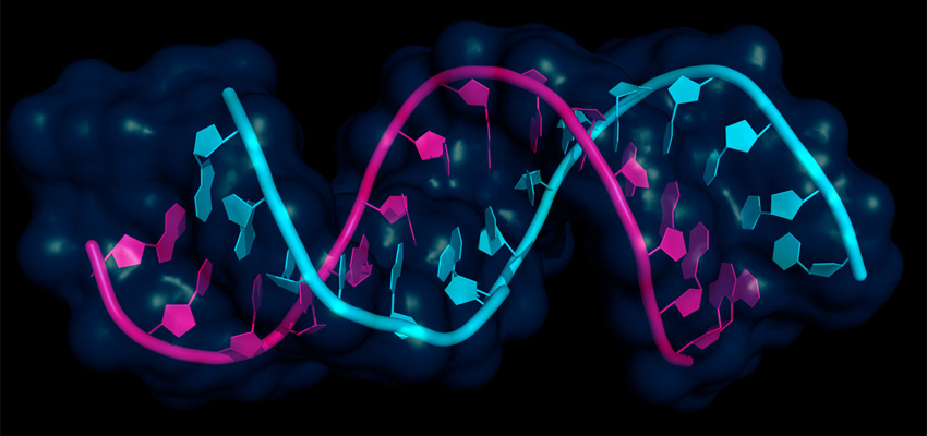 MicroRNA