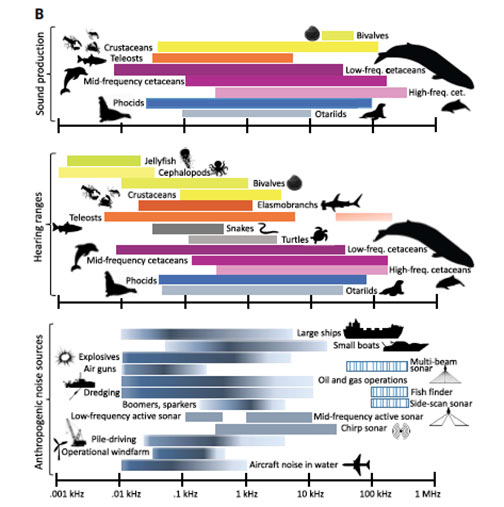 Diagram of Noise Hearing Sound