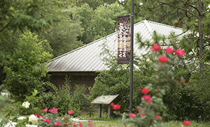 USA Archeology Museum