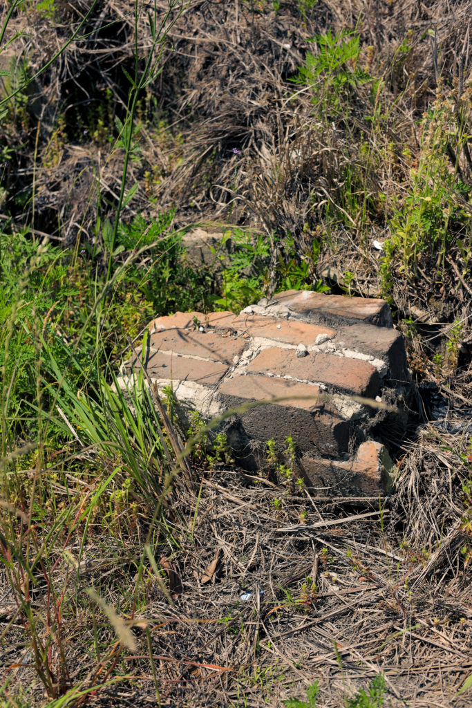 evacuation site