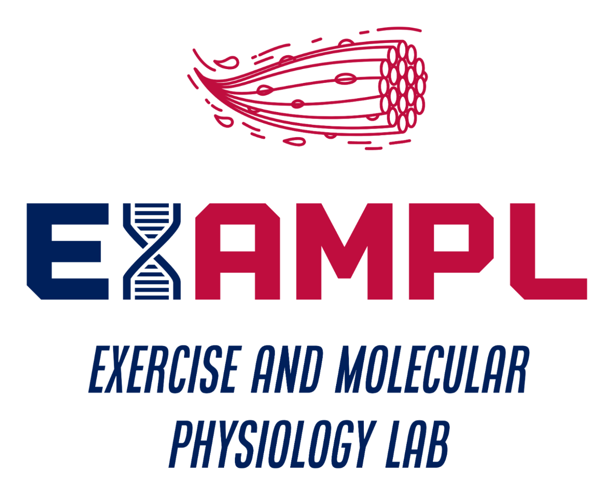Picture of the ExAMPL lab logo.