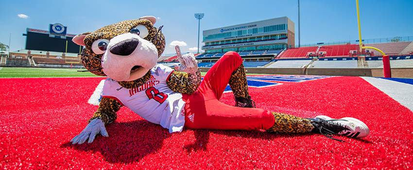 Southpaw laying on the football field holding up the J sign for Jaguars.