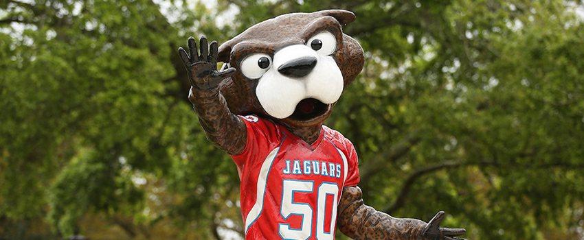 Southpaw statue on campus.