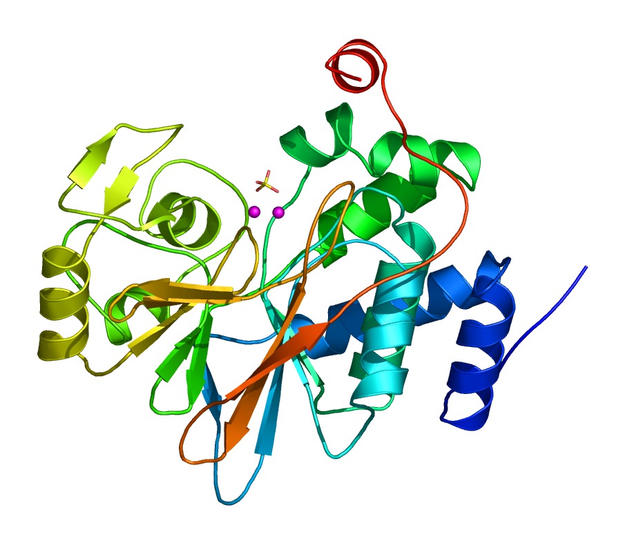 Lung Diseases