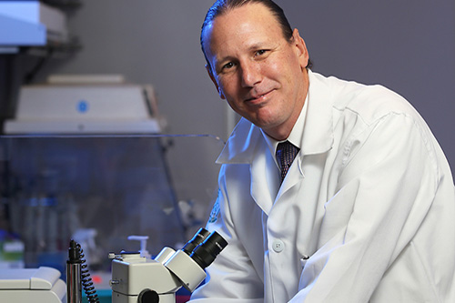 Kevin Macaluso, Ph.D. working in lab.