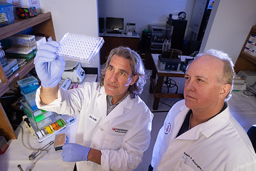 Jonathon P. Audia, Ph.D., and Robert A. Barrington, Ph.D., are principal investigators of the research, funded by the National Institutes of Health.