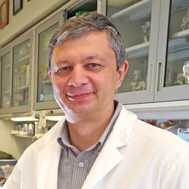 Viktor Pastukh, Ph.D.											 