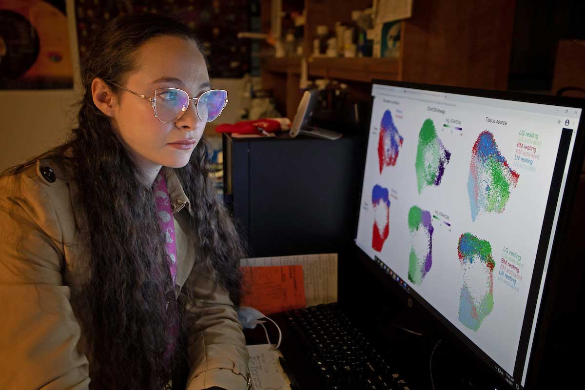 Photo of BMS student Rachel Rodenburg in the lab looking at he research on a computer