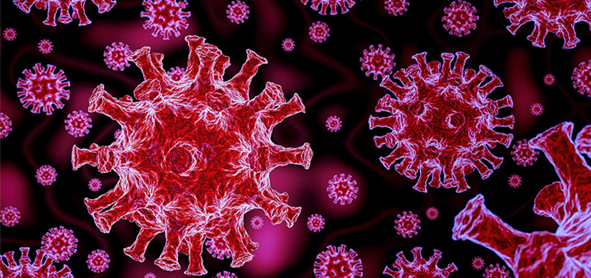 Residents look back on the coronavirus pandemic. The image is of the coronavirus. 