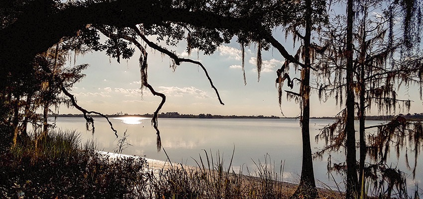 The Tensaw River Delta in Alabama