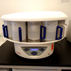 Epredia Tissue Processor STP 120