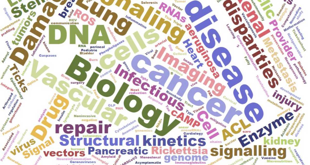 Research Interests Word Cloud Photo
