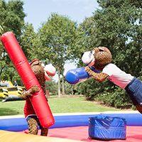 Southpaw and Miss Pawla playing on obstacle