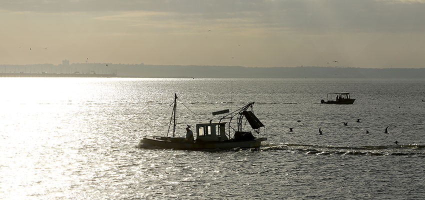 Shrimp Boat on Mobile Bay.