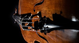 Pictured is a free use copy of a double string bass image.