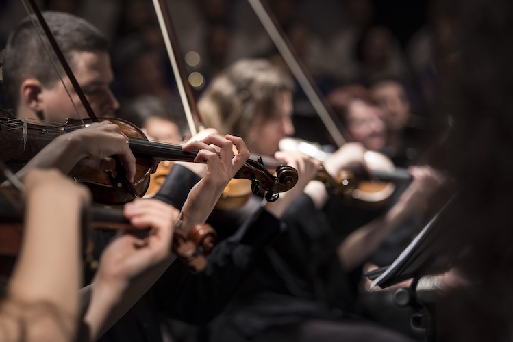 Pictured are string players in an orchestra.