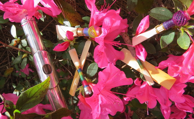 Reeds and instruments laying in bed of pink azaleas