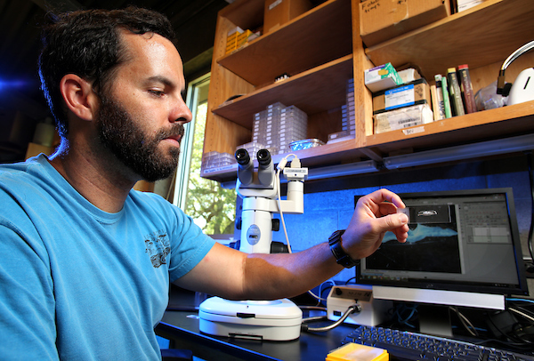 Male student working in the lab.