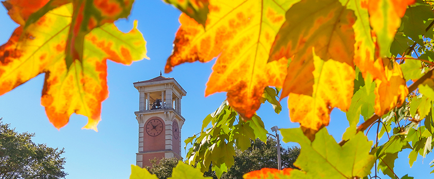 Moulton tower with fall leaves.