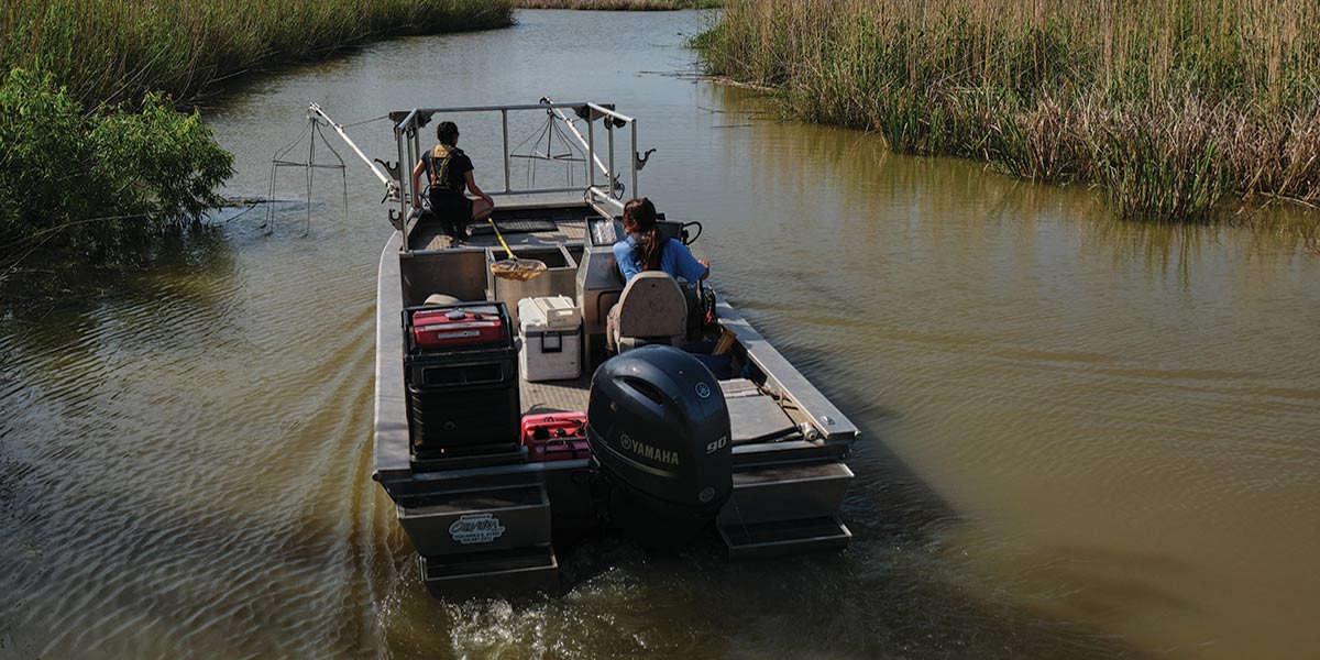 Sierra Robertson pilots an electrofishing boat near Justin&rsquo;s Bay with fellow Ph.D. student Aleah Dokter, who is researching fish populations along the Causeway.