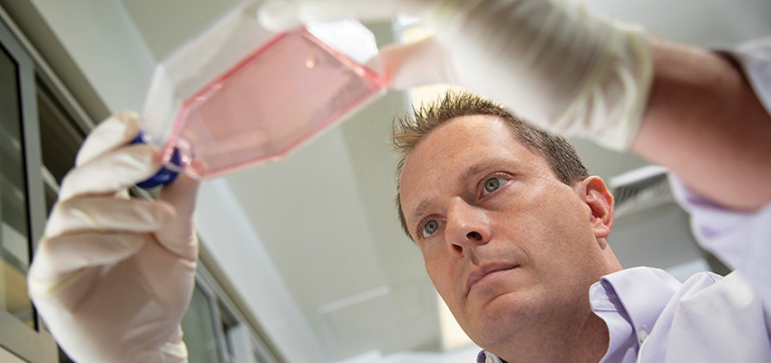 Dr. Borchert working in the lab.