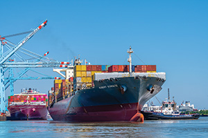 APM Terminals 85