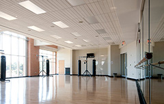 Image of studio to reserve with mirrors and bars.