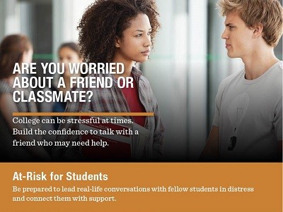Are you worried about a friend or classmate? Log into Kognito to access all information.