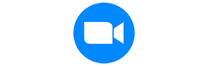 Zoom Icon