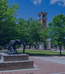 Mitchell Center with Jaguar in front.