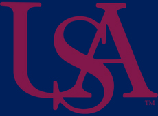USA Logo