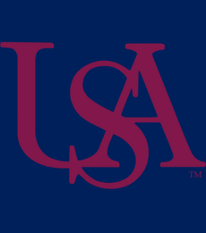 USA Logo
