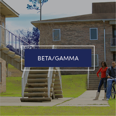 Beta/Gamma