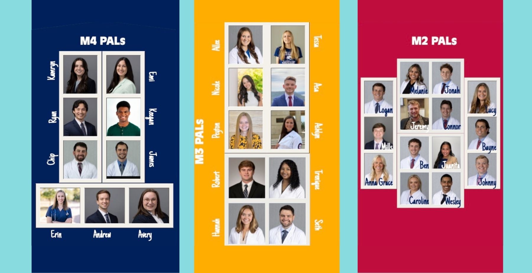 Peer Academic Leaders named for new academic year