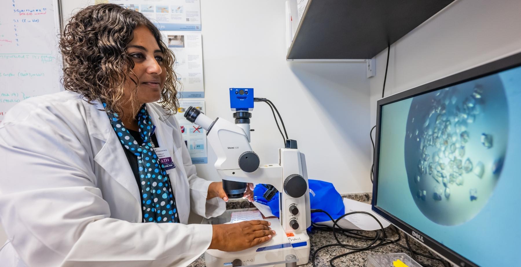 USA scientist awarded NIH grant to advance DNA repair research