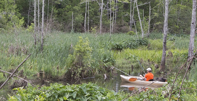 South will kick off its environmental observance from 9-11 a.m. on Sunday with a clean-up of trash from three waterways along the Glen Sebastian Nature Trail.